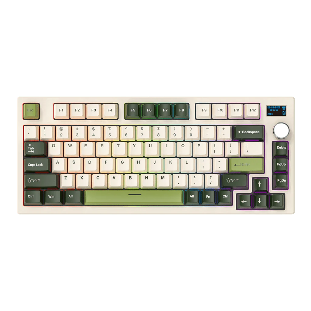 MAXFIT81 VIBE EDITION - Image 3