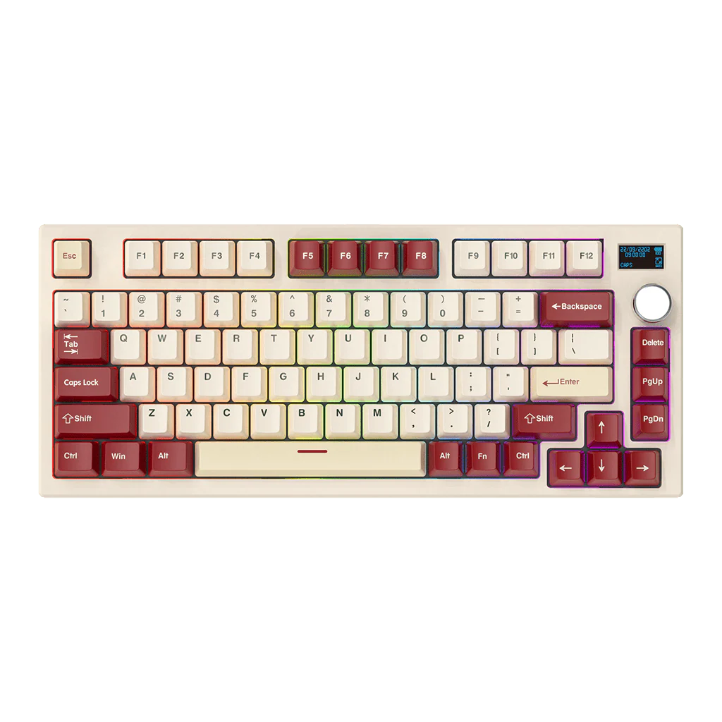 MAXFIT81 VIBE EDITION - Image 4